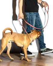Load image into Gallery viewer, Leash - Red