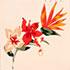 Load image into Gallery viewer, Back Me Up! Mobile Charger - Paradiso Greetings