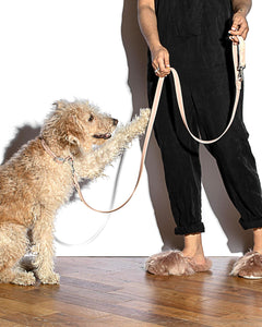 Leash - Blush